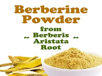 How Does Liposomal Berberine Powder Promote Gut Microbiome Balance?