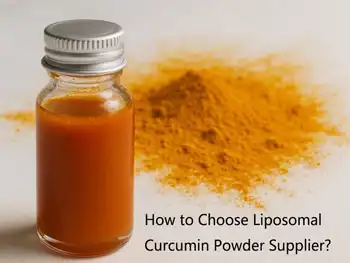 How to Choose Liposomal Curcumin Powder Supplier?