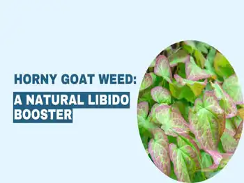 How Pure Icariin Extract Supports Blood Flow and Wellness?