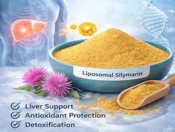 How Does Liposomal Silymarin Powder Protect Hepatocyte Membranes?