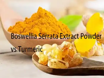 Boswellia Serrata Extract Powder vs Turmeric: Which has stronger anti‑inflammation?