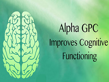 How Does Glycerophosphorylcholine Powder Protect Choline Metabolism?