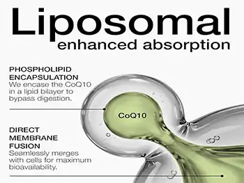 Why Is Liposomal Coenzyme Q10 Powder the Preferred Choice for Energy Support?