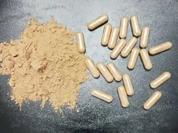 Hericium Erinaceus Capsule vs Powder: Which Format Fits OEM?