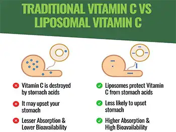 Can Liposomal Vitamin C Powder Bulk Replace Regular Ascorbic Acid?