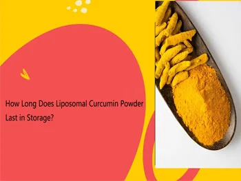 How Long Does Liposomal Curcumin Powder Last in Storage?