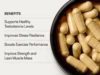 What Are The Benefits Of Tongkat Ali Root Extract Capsules?