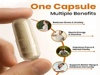 Can Ashwagandha Root Extract Capsules Improve Focus?