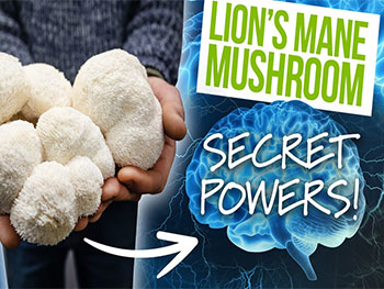 What does Lion's Mane Mushroom Extract Powder do for the skin?