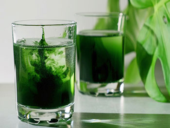 Can Sodium Copper Chlorophyllin Aid Wound Healing?