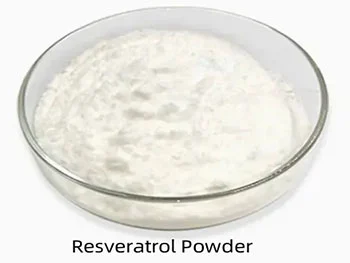 What to Check in Polygonum Cuspidatum Extract Resveratrol Production QC?