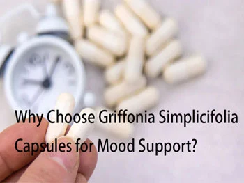 Why Choose Griffonia Simplicifolia Capsules for Mood Support?
