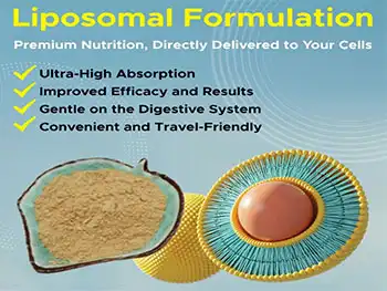 Can Liposomal Silymarin Powder Aid Cellular Antioxidants?