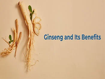 Why Choose Ginseng Extract Powder for Energy & Mental Clarity?