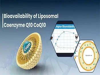 Can Liposomal Coenzyme Q10 Powder Reduce Muscle Fatigue After Workouts?