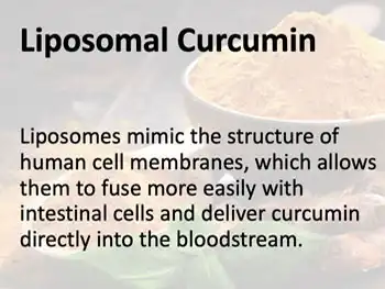 Does Liposomal Curcumin Powder Improve Circulation?
