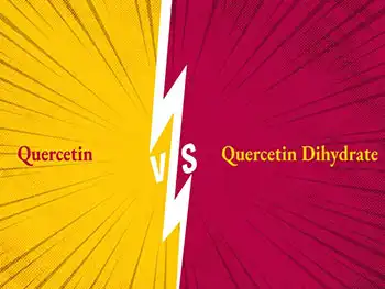 Quercetin Powder vs Quercetin Dihydrate: Which to Choose?