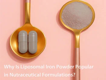 Why Is Liposomal Iron Powder Popular in Nutraceutical Formulations?