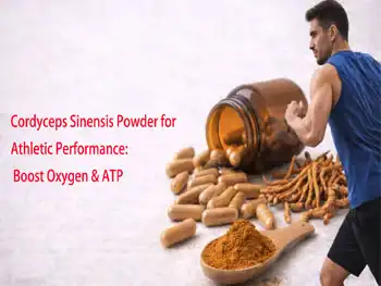 Cordyceps Sinensis Powder for Athletic Performance: Boost Oxygen & ATP