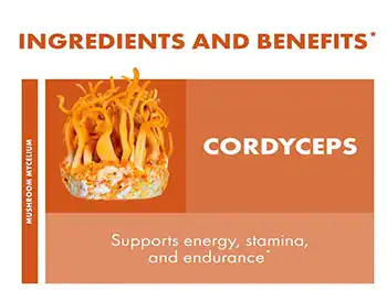 Cordyceps Sinensis Powder: Premium Adaptogenic Mushroom for Energy & Endurance