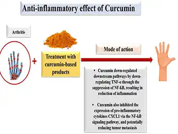 Can Liposomal Curcumin Powder Support Arthritis Relief?