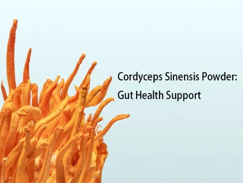 Cordyceps Sinensis Powder: Synergy with Prebiotics and Gut Health Support