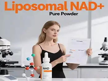How Is Liposomal NAD+ Powder Absorbed Better Than Others?