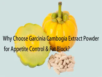 Why Choose Garcinia Cambogia Extract Powder for Appetite Control & Fat Block?