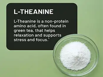 Pure L-Theanine Powder for Focus and Concentration