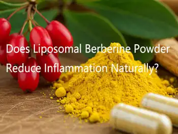 Does Liposomal Berberine Powder Reduce Inflammation Naturally?