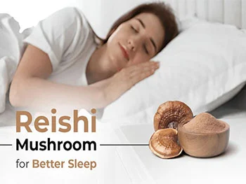 Why Choose Reishi Mushroom Extract Powder for Sleep Quality?