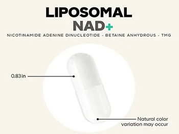 Can Liposomal NAD+ Powder Support Mitochondrial Function?