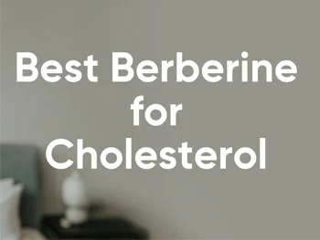 Can Berberine Powder Capsules Lower Cholesterol Naturally?