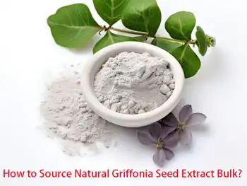 Import Guide: How to Source Natural Griffonia Seed Extract Bulk?