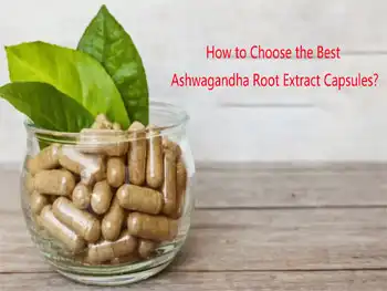 How to Choose the Best Ashwagandha Root Extract Capsules?