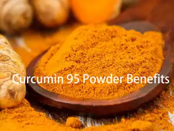 What Is Curcumin 95 Powder and Its Key Benefits?