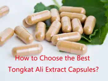 How to Choose the Best Tongkat Ali Extract Capsules?