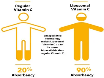 Why Is Liposomal Vitamin C Powder Bulk Considered Superior to Regular Vitamin C?