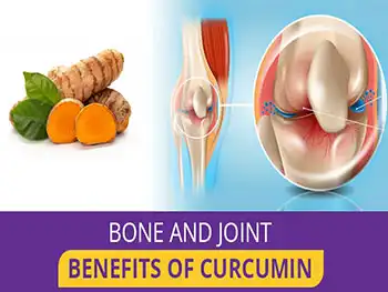 How to Choose the Best Curcumin Powder for Joint & Inflammation Support?