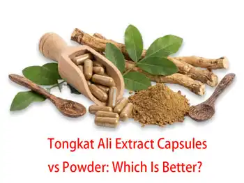 Tongkat Ali Extract Capsules vs Powder: Which Is Better?