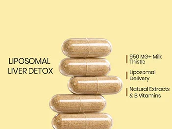 Can Liposomal Silymarin Powder Boost Detoxification Effectively?