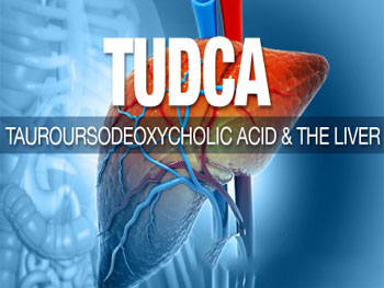 How Does TUDCA Powder Protect Liver Cells?