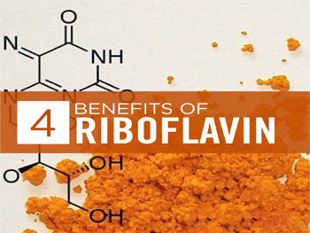 How Does Riboflavin Powder Support Healthy Red Blood Cells and Circulation?