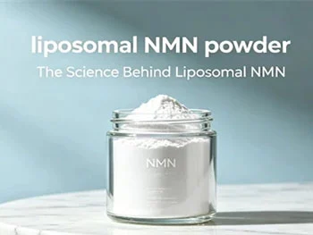 Why Does Liposomal NMN Powder Outperform Standard NMN for NAD+?