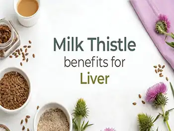How Does Liposomal Silymarin Powder Enhance Detox Pathways?