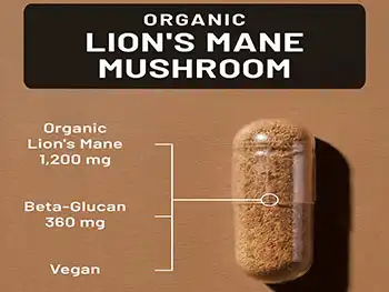 Top Organic Lion's Mane Mushroom Capsules for B2B Buyers