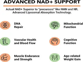 Liposomal NAD+ Powder for Cognitive & Physical Support