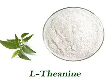 What Are the Key Benefits of Pure L-Theanine Powder?