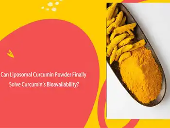 Can Liposomal Curcumin Powder Finally Solve Curcumin's Bioavailability?