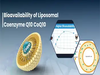 Liposomal CoQ10 Powder: Science‑Driven Absorption Solution